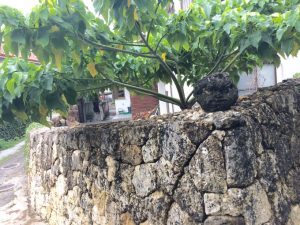 路地裏さんごシーサー