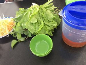 バインコットとレタス