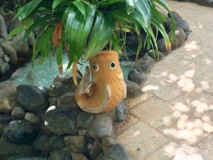 魚の花瓶、ツボは初めてみましたね😂味がある、池の近くに置けばアート