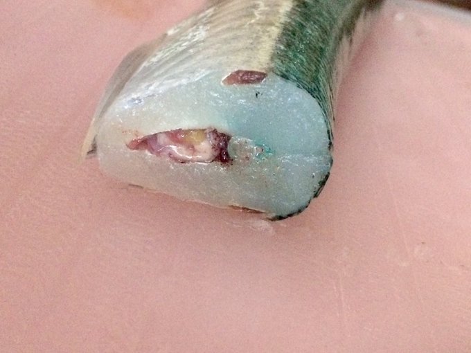 噂の青い骨が出現 ベトナムで食べる意外に旨い魚