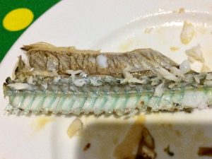 ダツの骨】なんとエメラルドグリーン