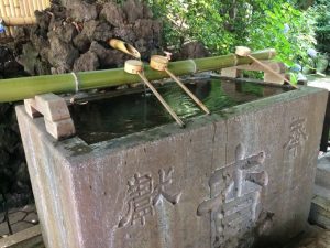 参拝するぞー！手とお口を清めて、、、えー❗️ハチも🐝水飲み