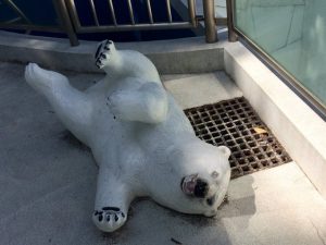 シロクマは移動、模型だ横浜の動物園