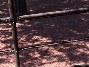 横浜の動物園キリンのフン