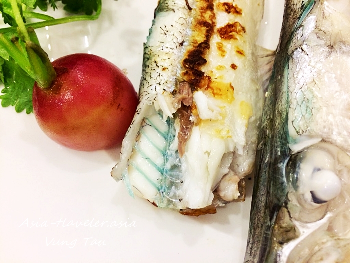 ベトナムの魚 尖った口と青い鱗と骨が特徴的 ダツ Needlefish
