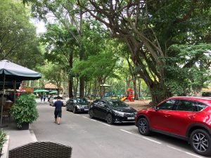 ホーチミンの緑豊かな並木道に駐車する車列
