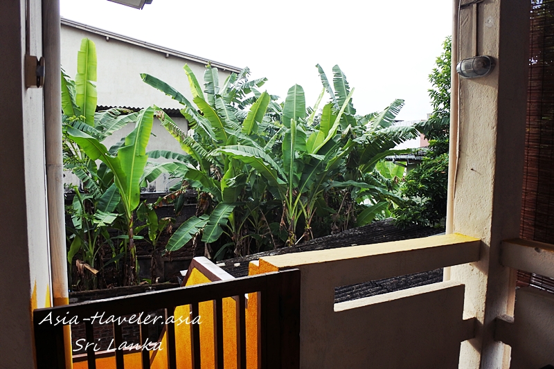 スリランカのAirbnb宿バルコニーから望むバナナ畑の緑