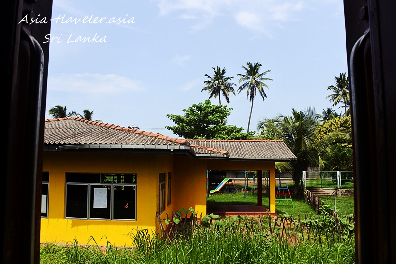 スリランカ列車の車窓から見えるヤシの木と黄色い校舎