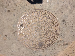 トリンコマリーのアメーバ模様のマンホール蓋