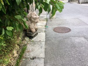 カエルシーサー