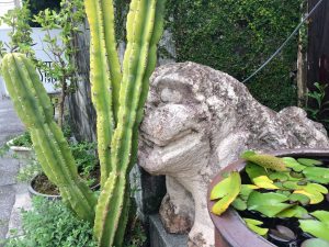 サボテンシーサー