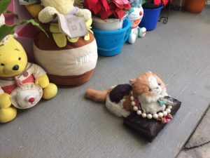 沖縄の猫、ぬいぐるみ