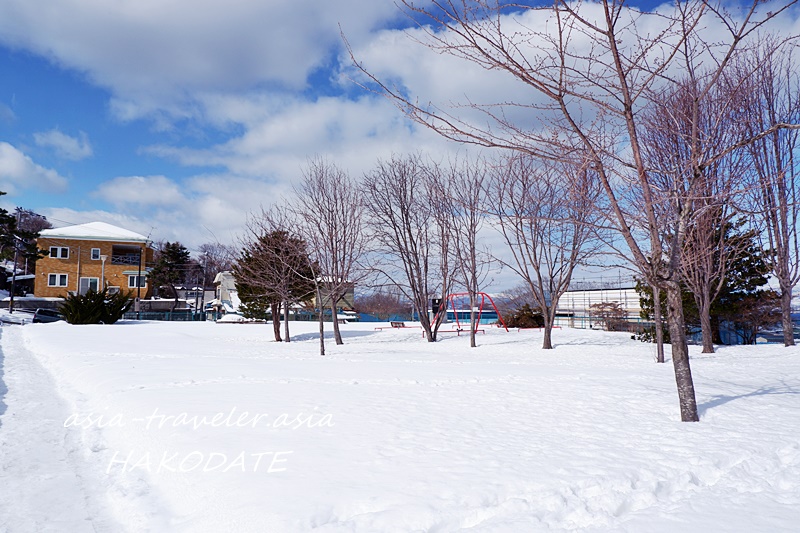 函館・船見公園の雪景色と落葉樹