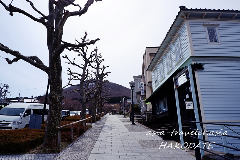 函館西部地区の冬枯れ並木と洋風建築の街並み