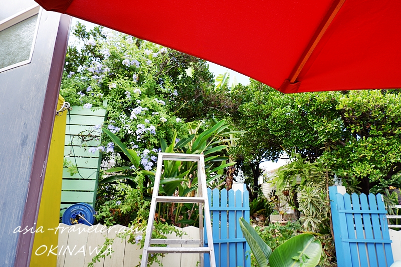 パーラードジュジュモの赤いパラソルと熱帯植物の庭