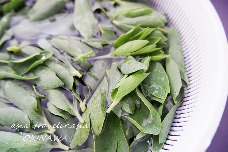 沖縄 野菜 長命草 サクナ ボタンボウフウ でチヂミ スープとゆし豆腐にも