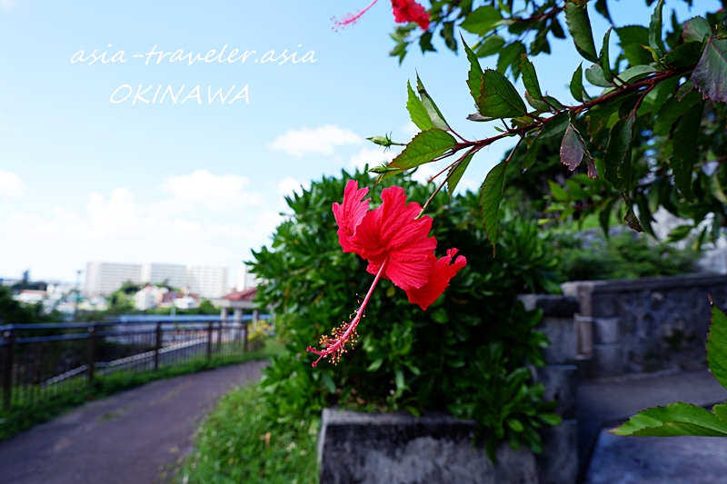 沖縄　海軍壕公園