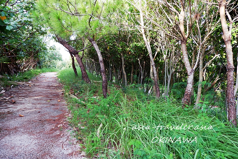 沖縄 豊崎海浜公園