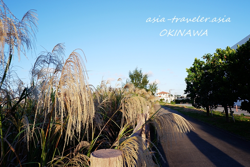 豊崎海浜公園