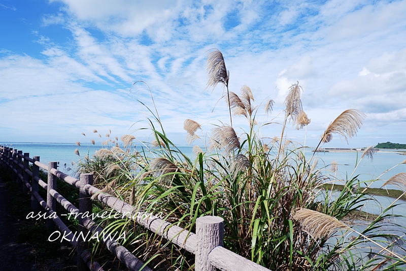 豊崎海浜公園