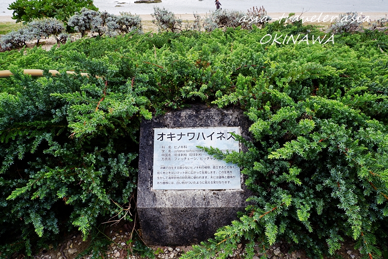 ウミカジテラス