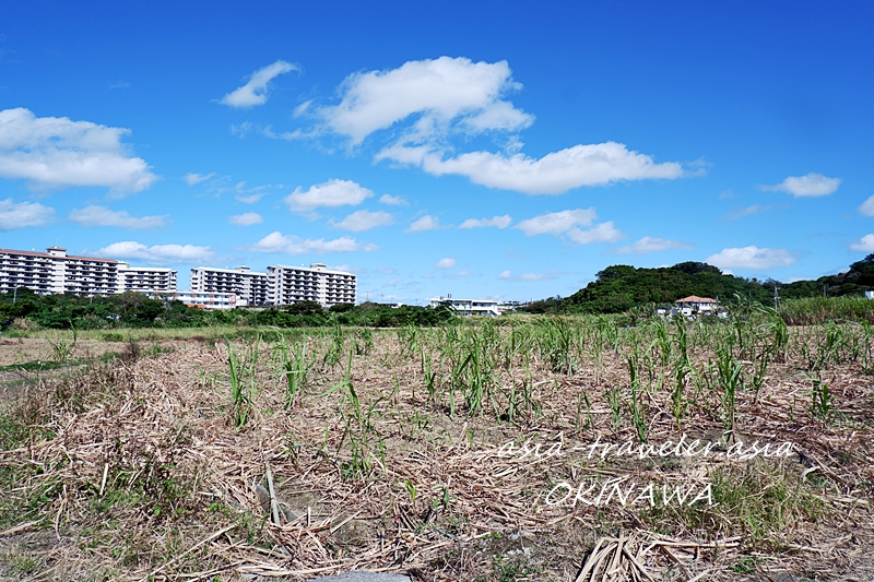 豊見城・糸満散歩