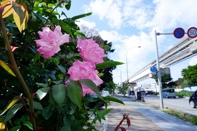 沖縄散歩