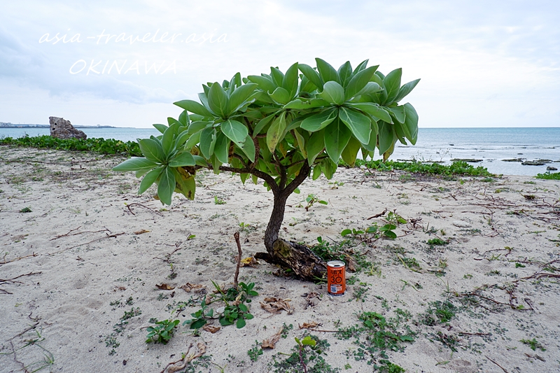 ウミカジテラス