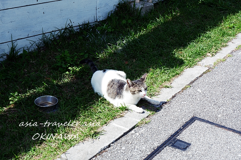 沖縄 ウミカジテラス