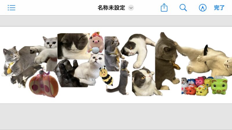 ホーチミン猫カフェで遊ぶ複数の猫たちのコラージュ