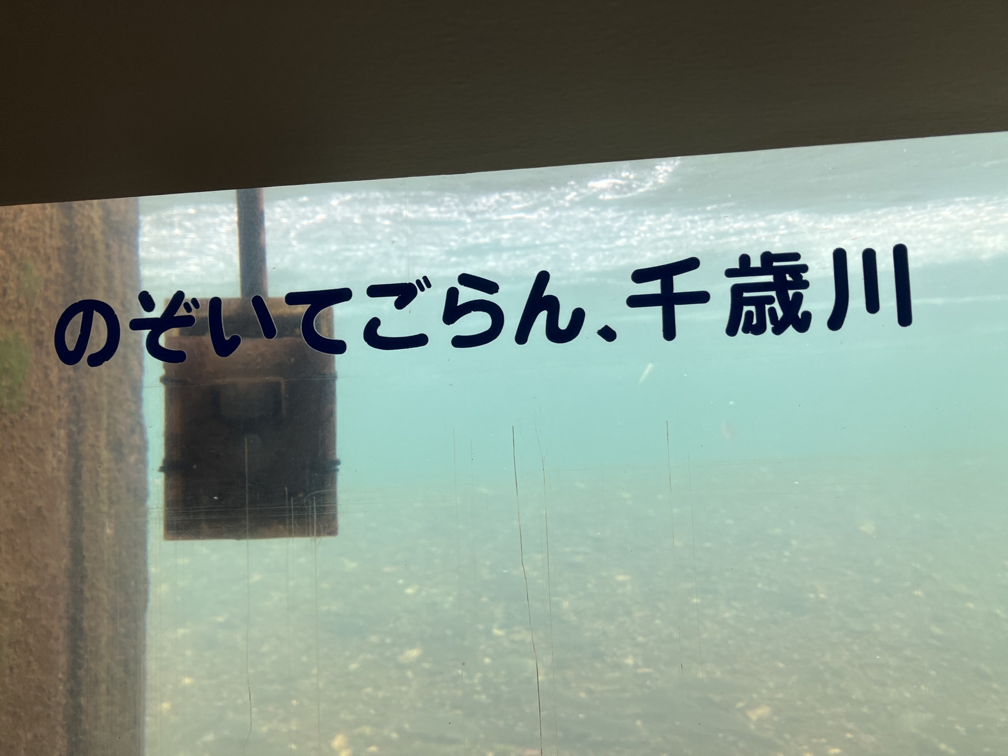 サケのふるさと 千歳水族館