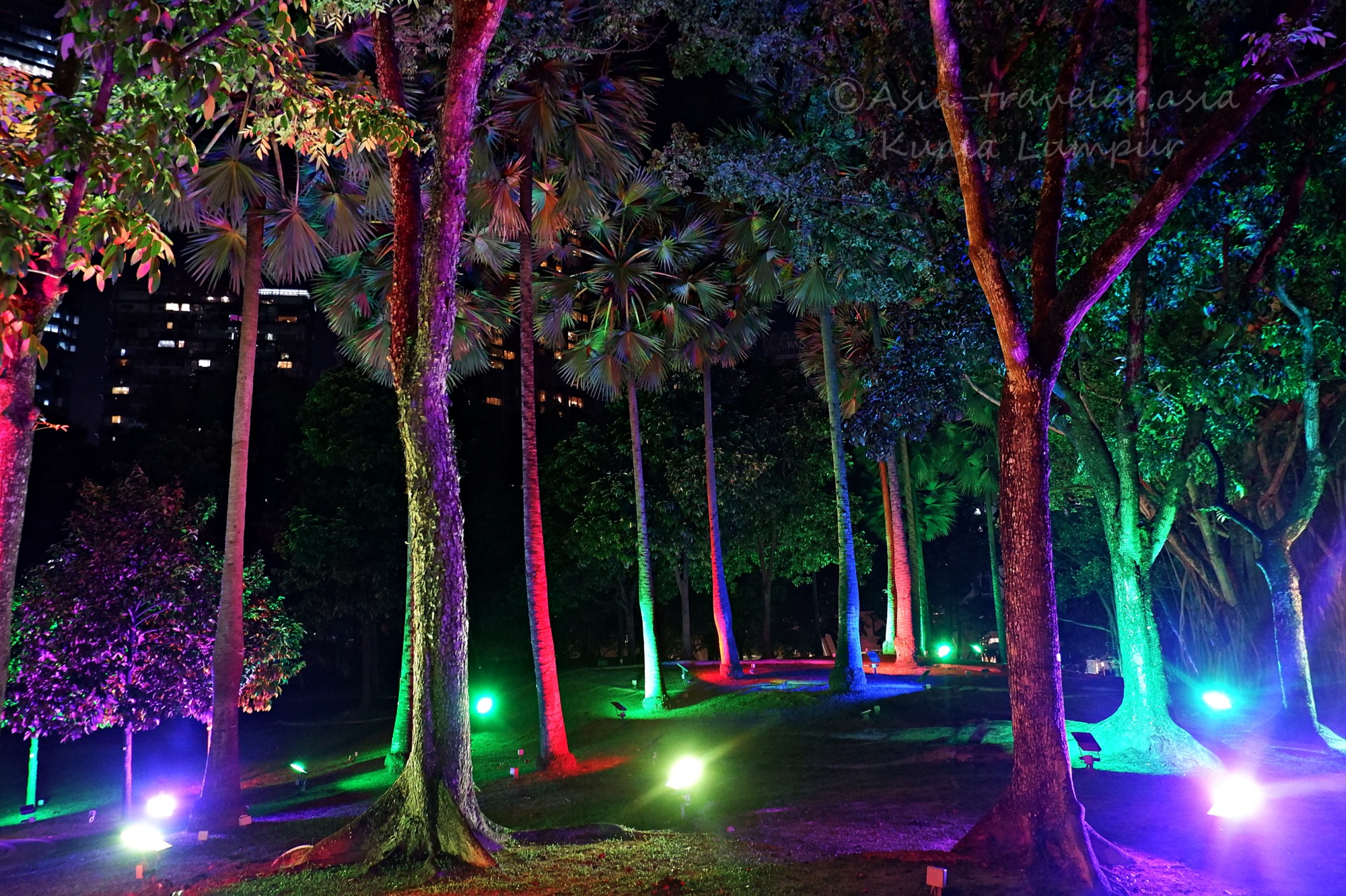 クアラルンプールの公園でカラフルにライトアップされた夜の木々