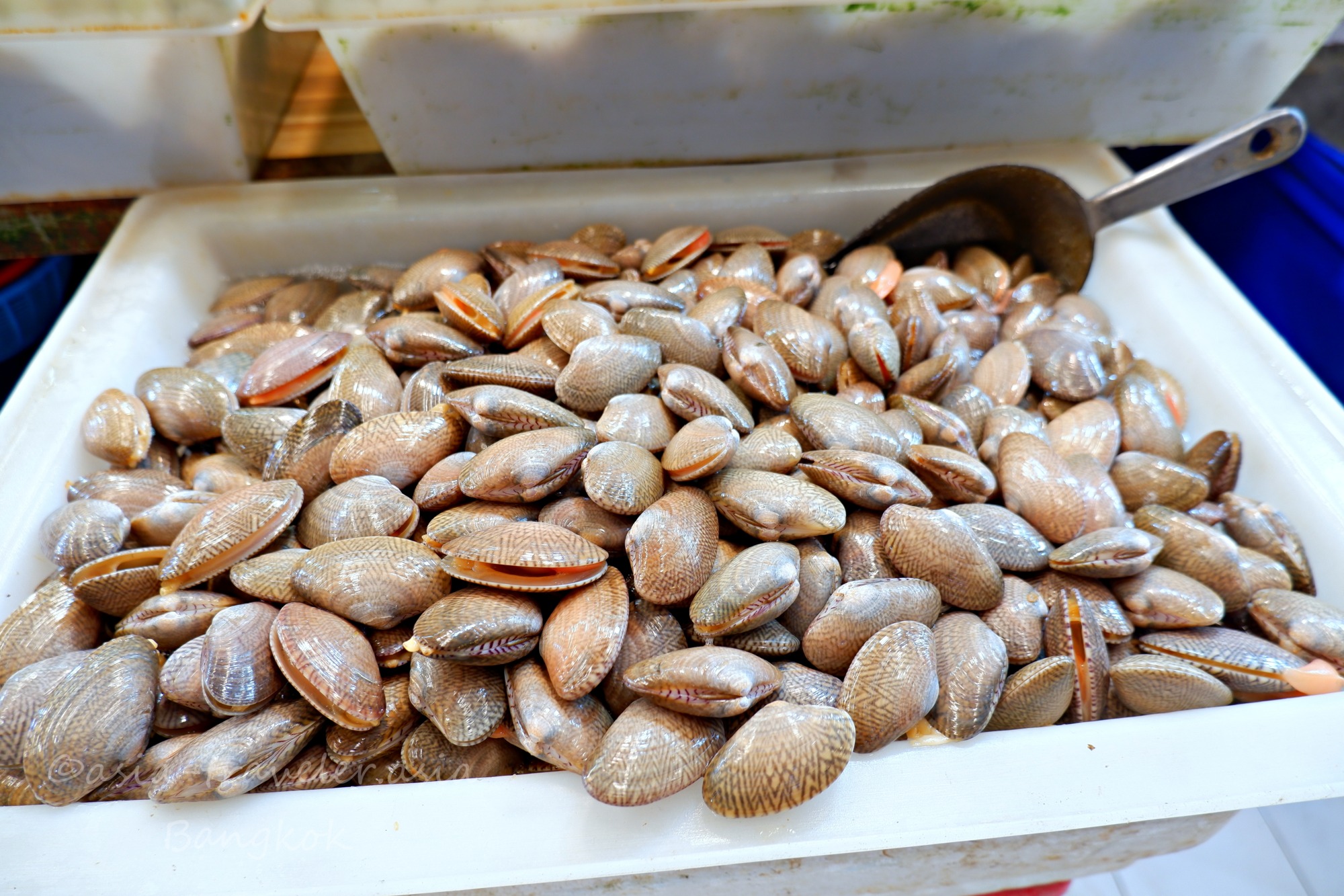 バンコク オートーコー市場