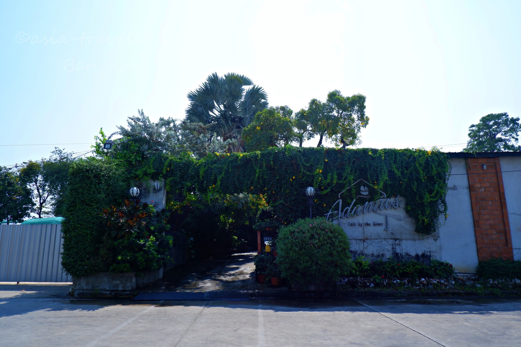 緑の蔦に覆われたAdamus Cafe by the Riverの外観入口