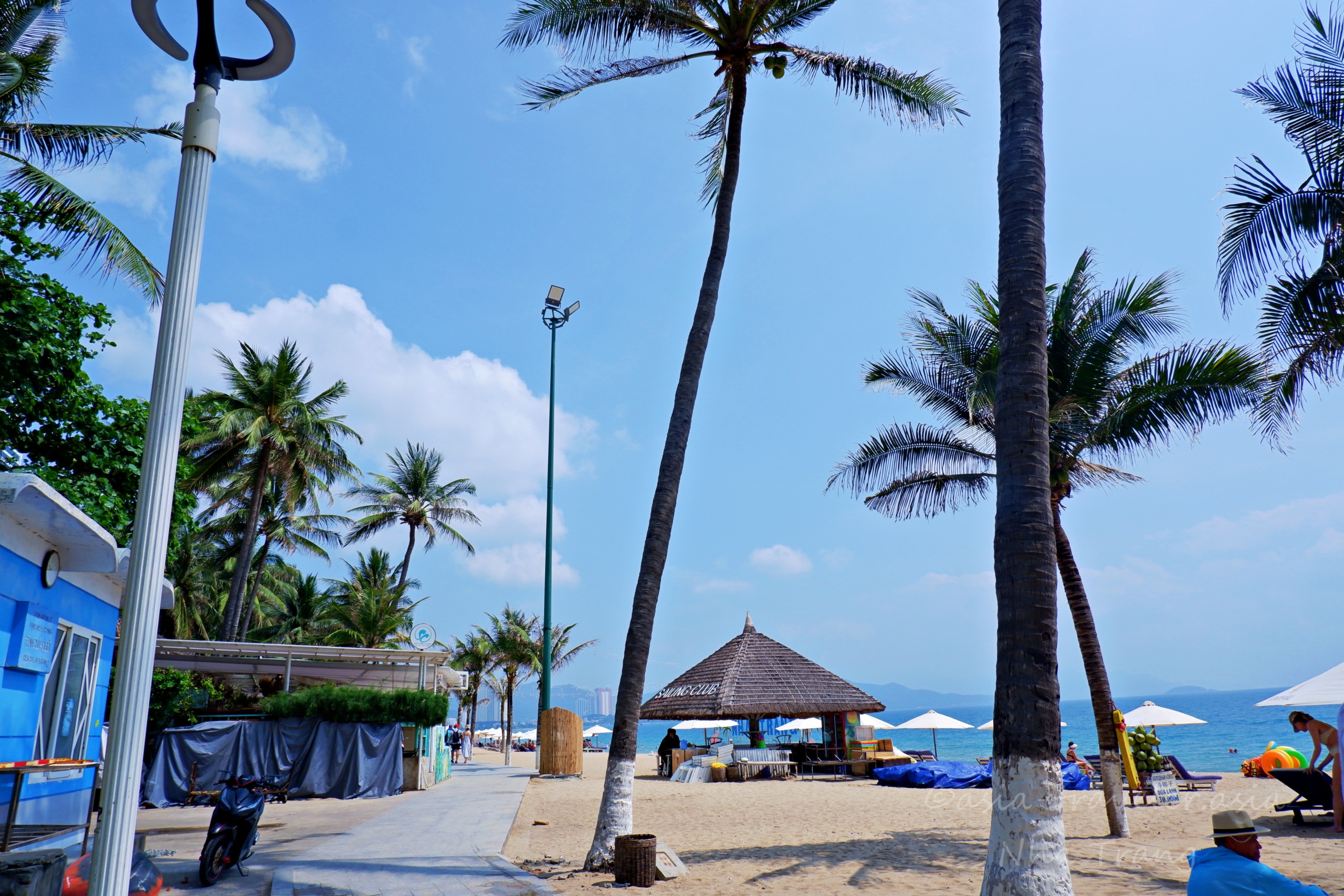 ニャチャンビーチ沿いのヤシ並木とビーチバー