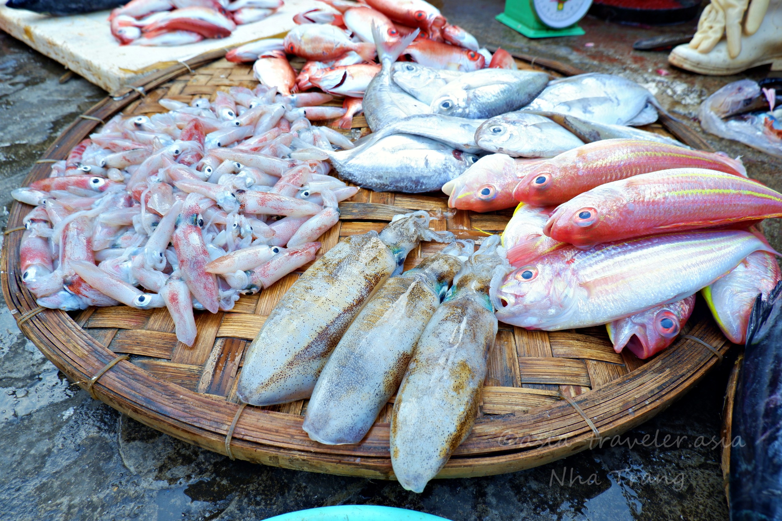 ニャチャン・ソムモイ市場の竹ざるに並ぶイカと鮮魚