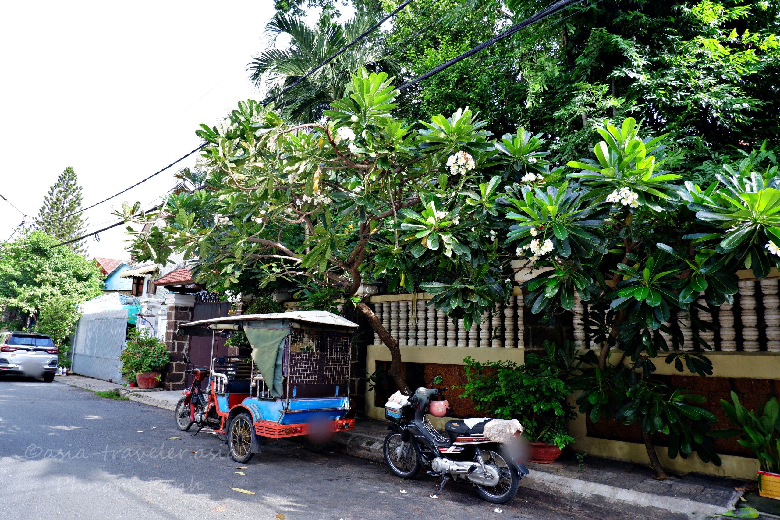 プノンペンの路地に停まるトゥクトゥクとフランジパニの木