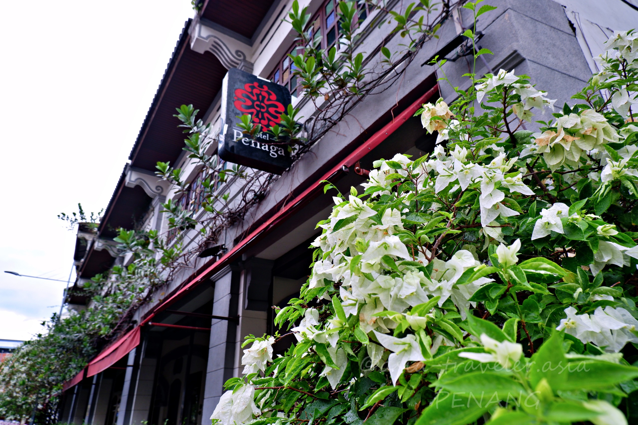 ペナン・ジョージタウンのHotel Penagaとブーゲンビリアの白い花