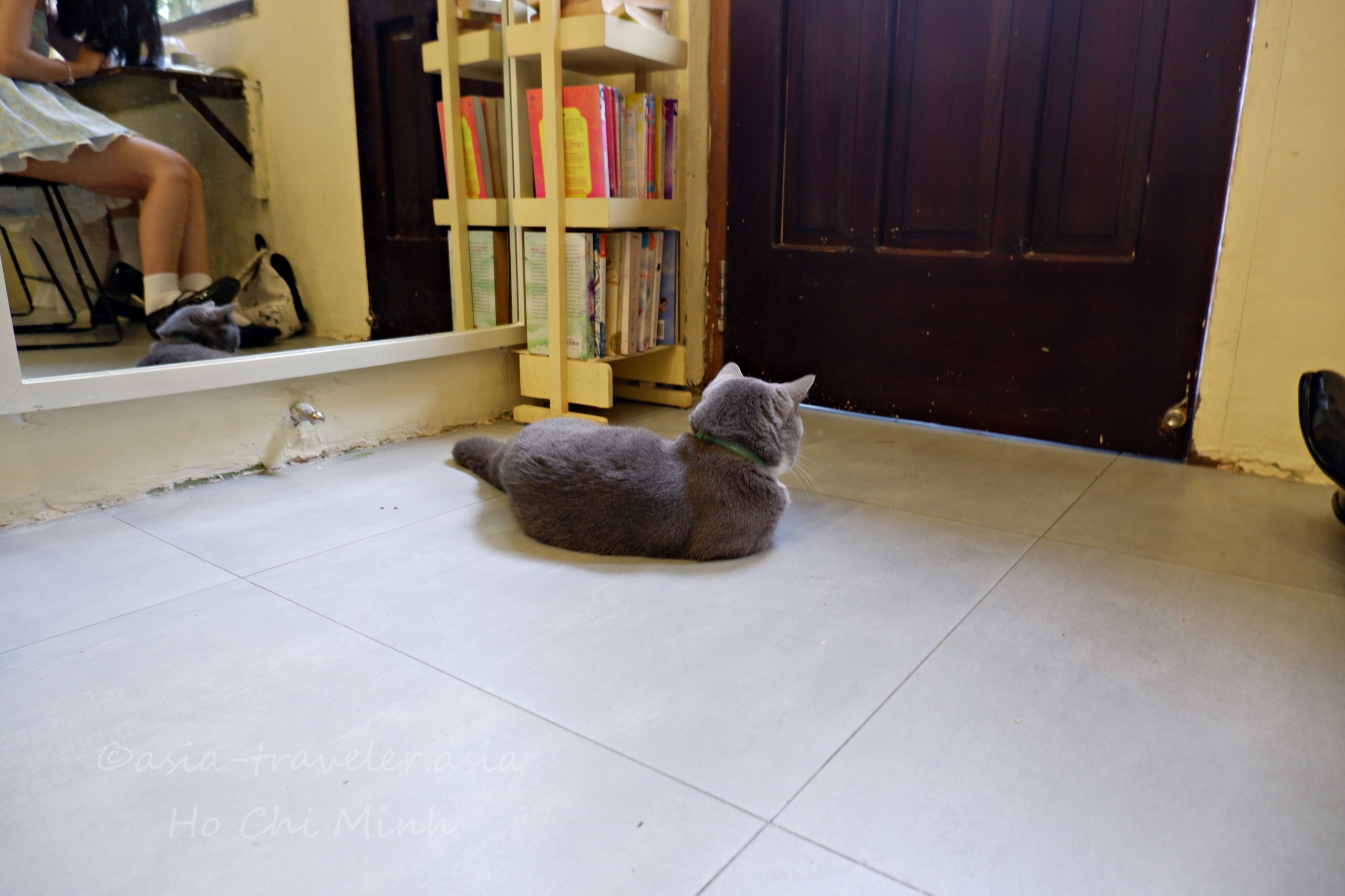 Bittersweet Cafeの看板猫クッキーがドア前で脱走の隙を狙う様子