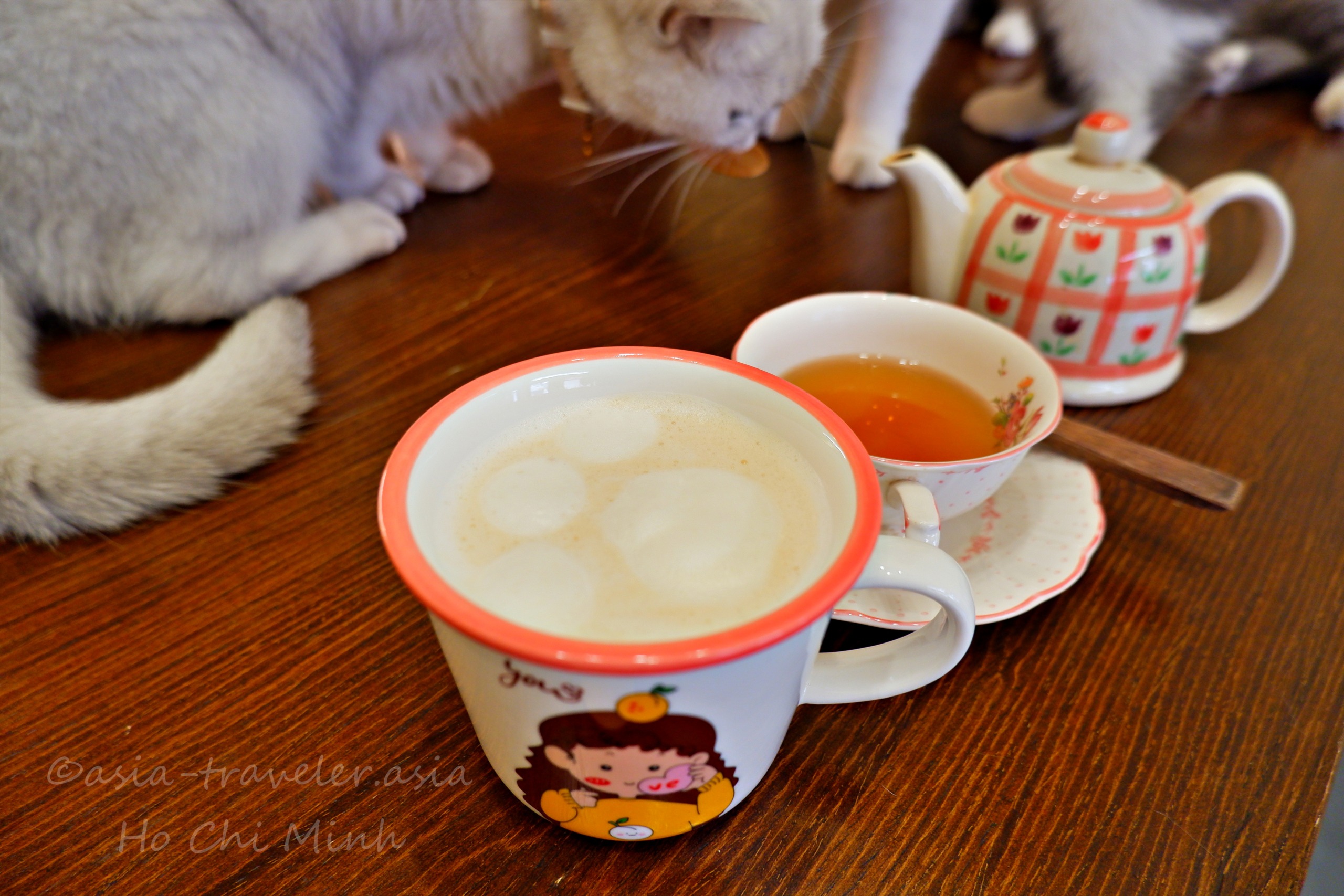 ラテとほうじ茶の茶器に近づくBittersweetの猫
