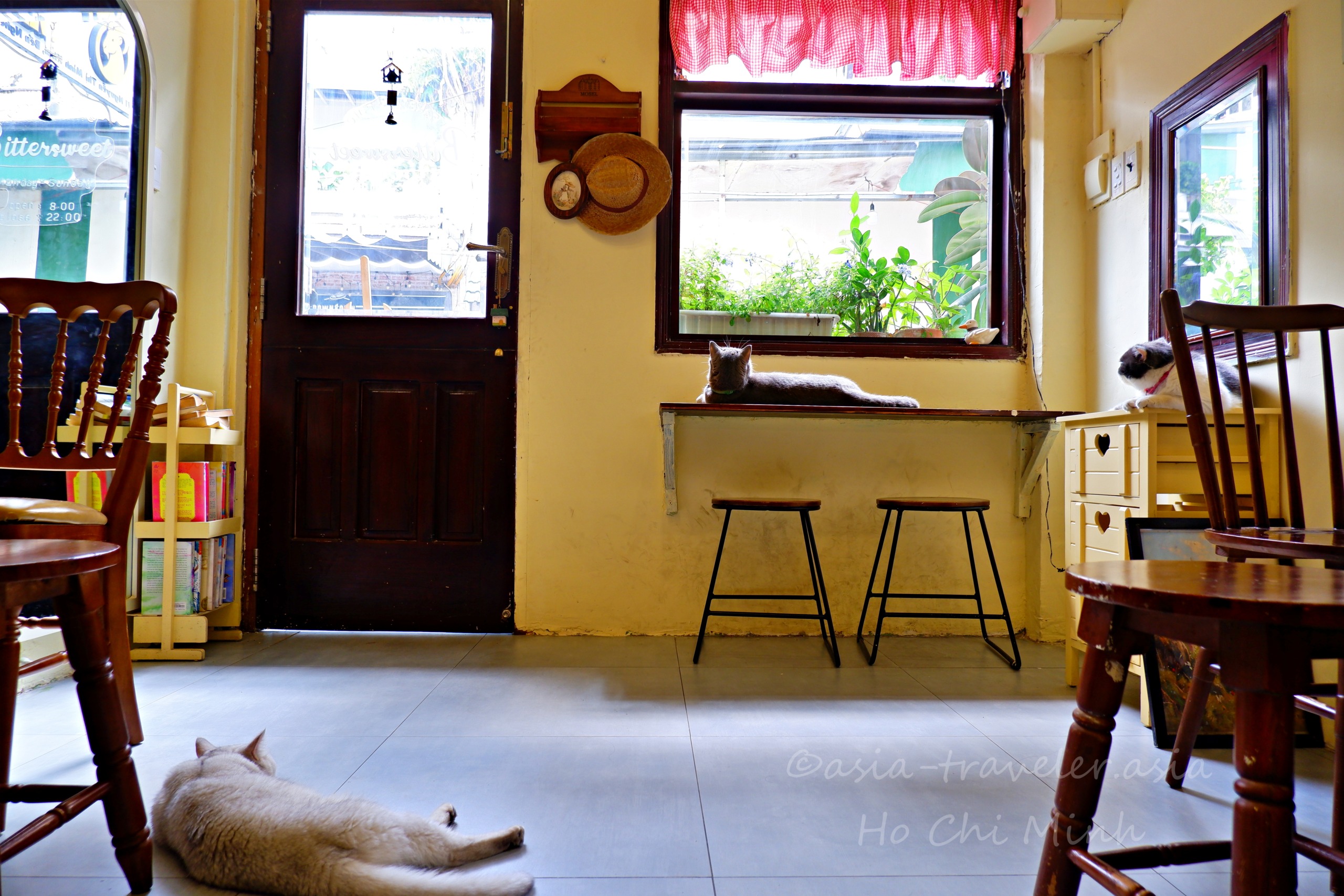 Bittersweet Cafeの床と棚でくつろぐ3匹の看板猫