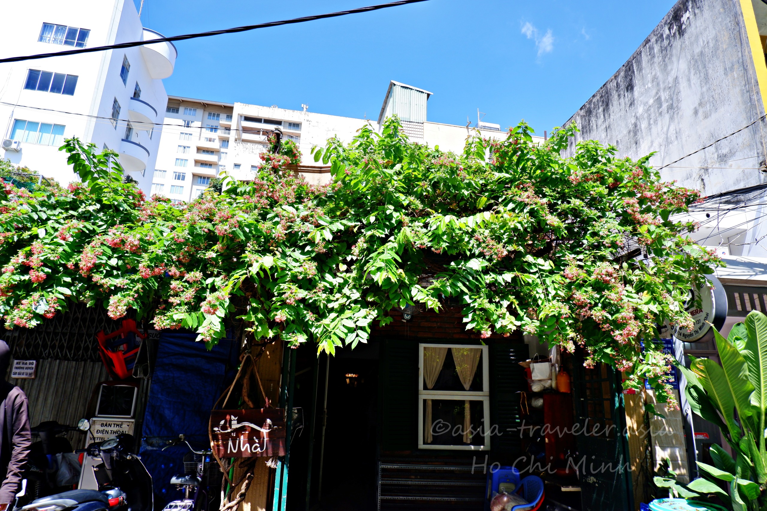 緑の蔓植物が屋根を覆うホーチミンのローカルカフェ外観