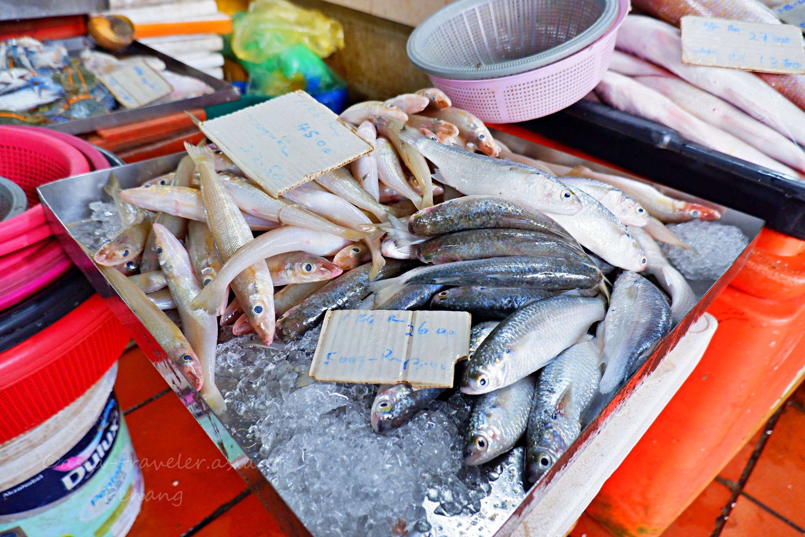 ジェルトン朝市の鮮魚コーナーに並ぶ新鮮な小魚たち
