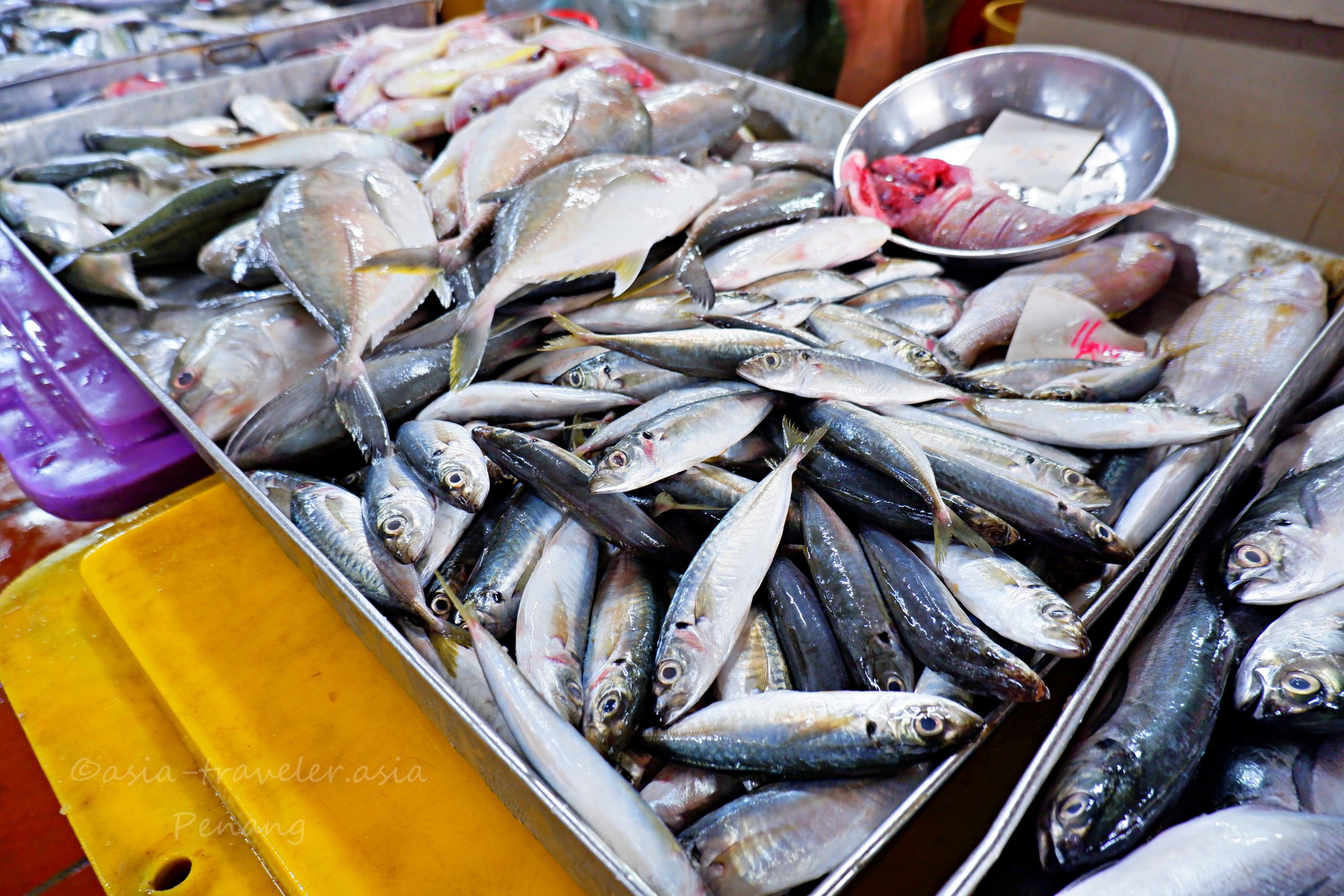 ペナン島 ジェルトン朝市