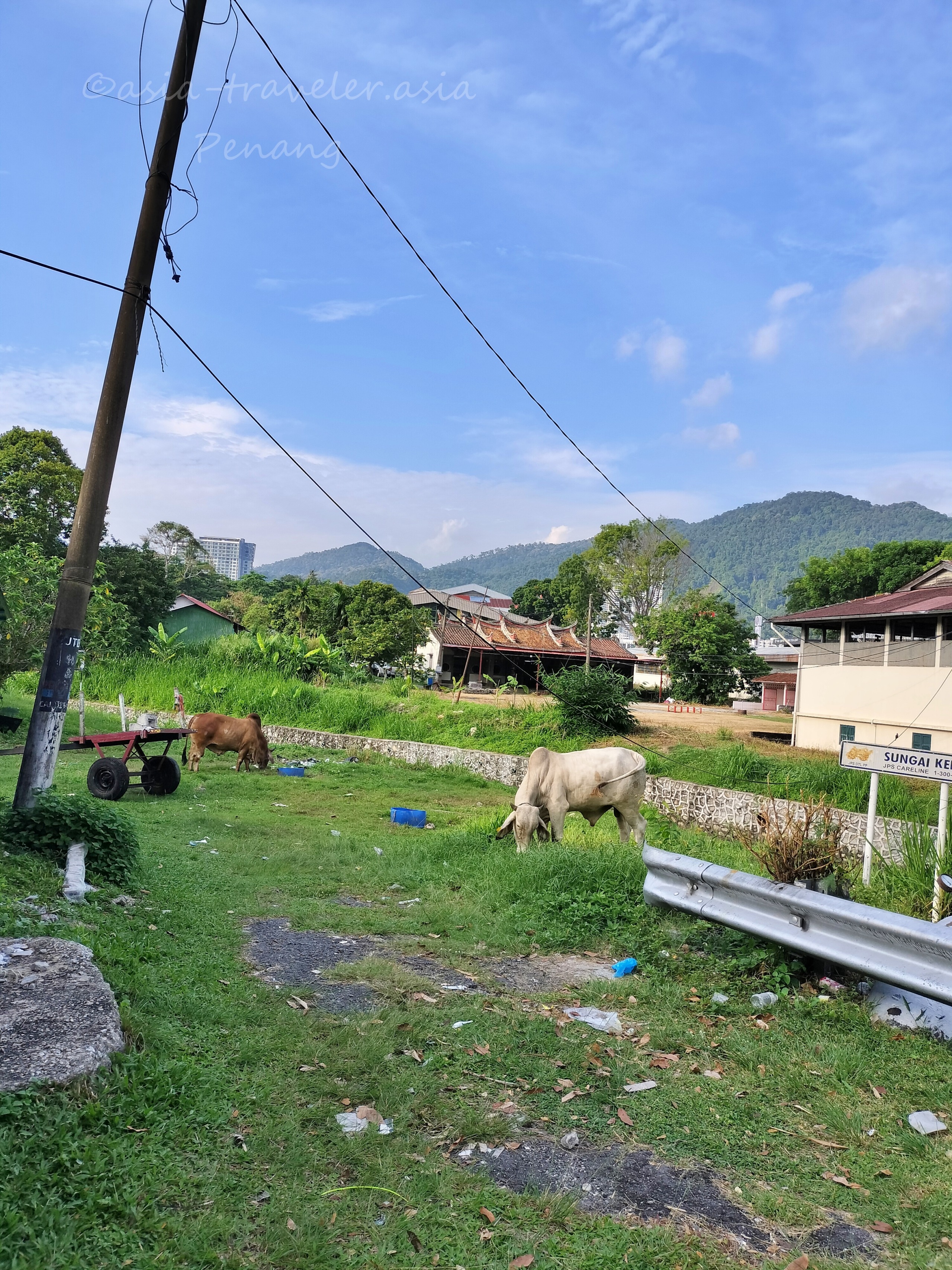 ペナン島 タンジュンブンガ