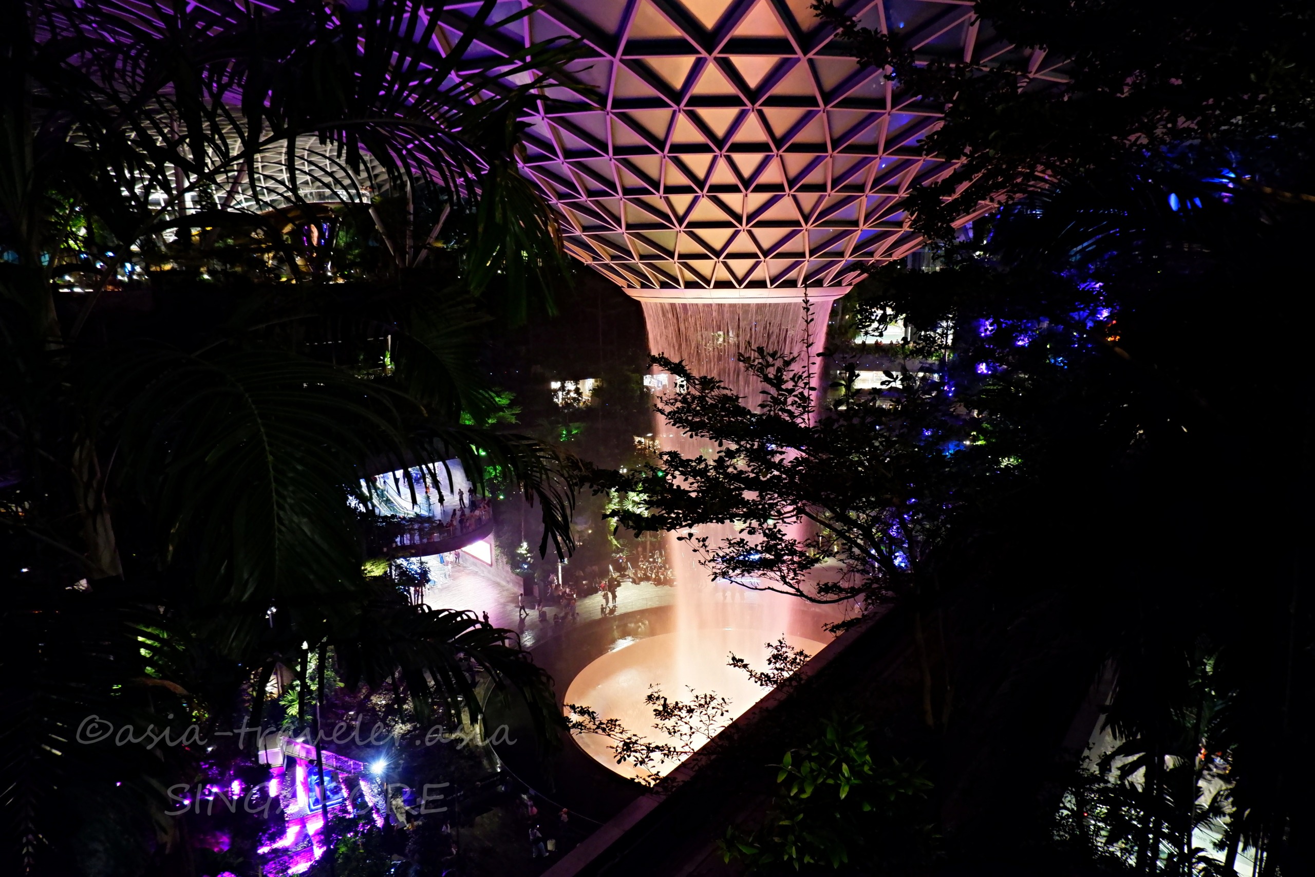 ジュエル・チャンギのレイン・ヴォルテックスと熱帯植物の夜景