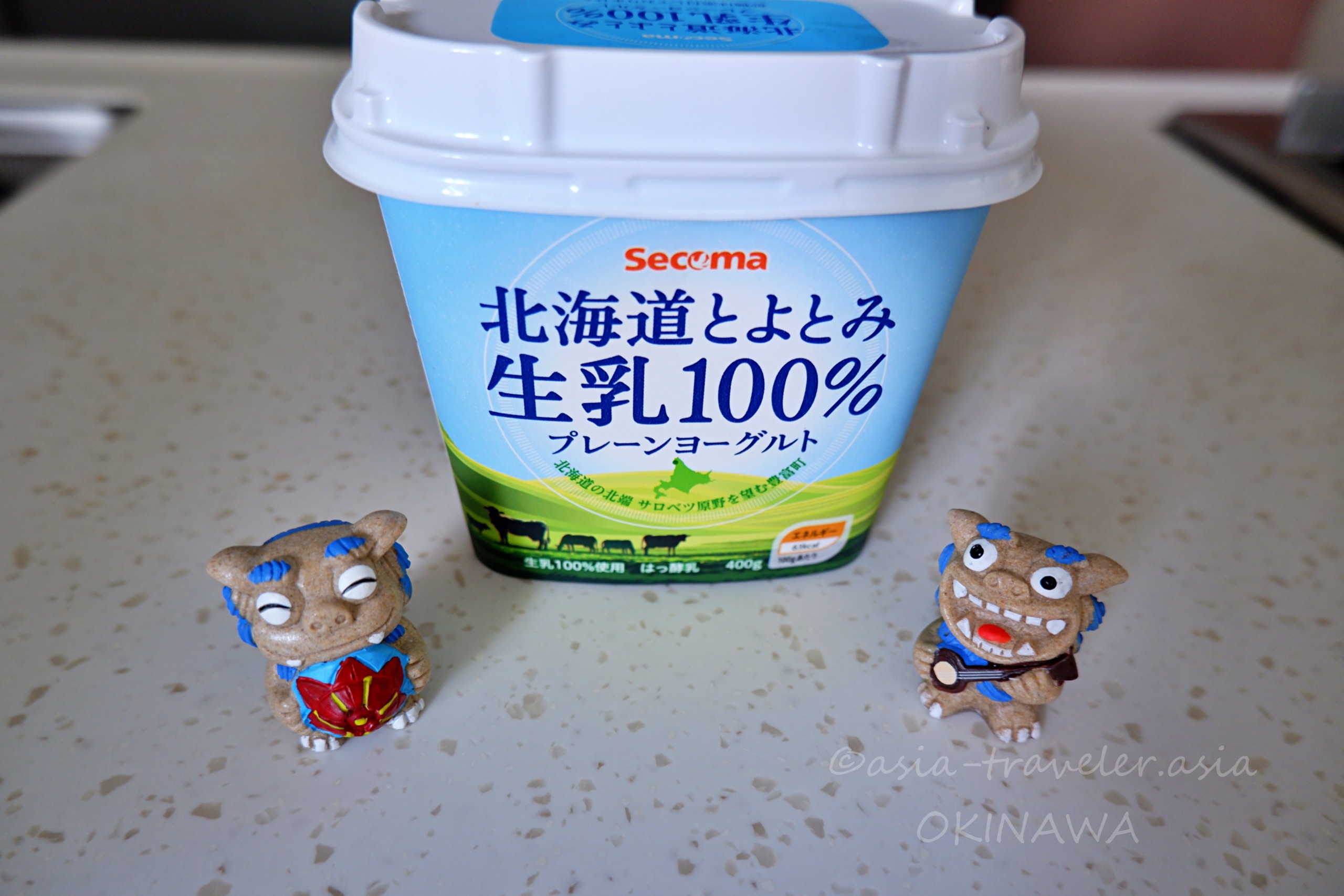 セコマ北海道とよとみ生乳100%ヨーグルトとシーサーの置物