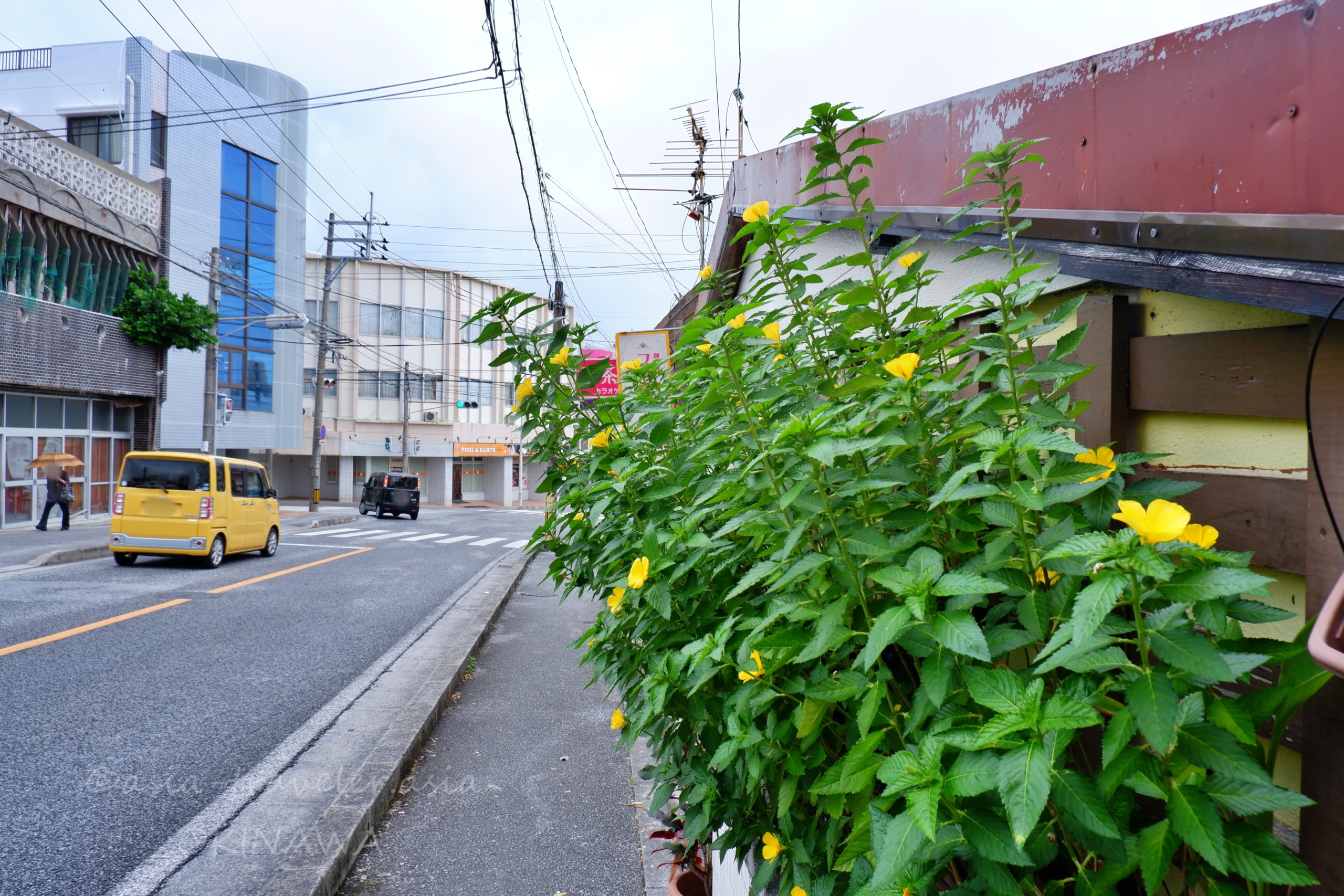 那覇・寄宮エリアの雨の日の街並みと黄色い花