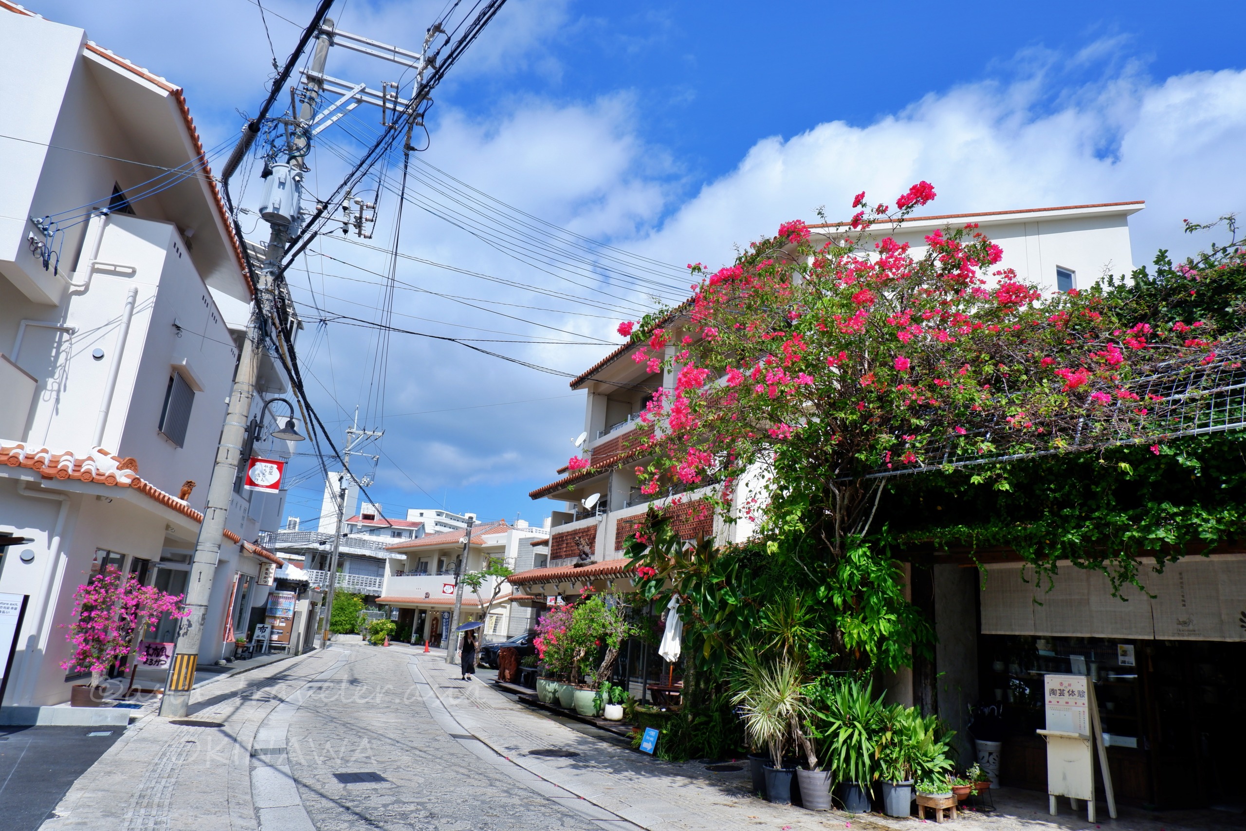 那覇やちむん通りにブーゲンビリアが咲く白壁の街並み