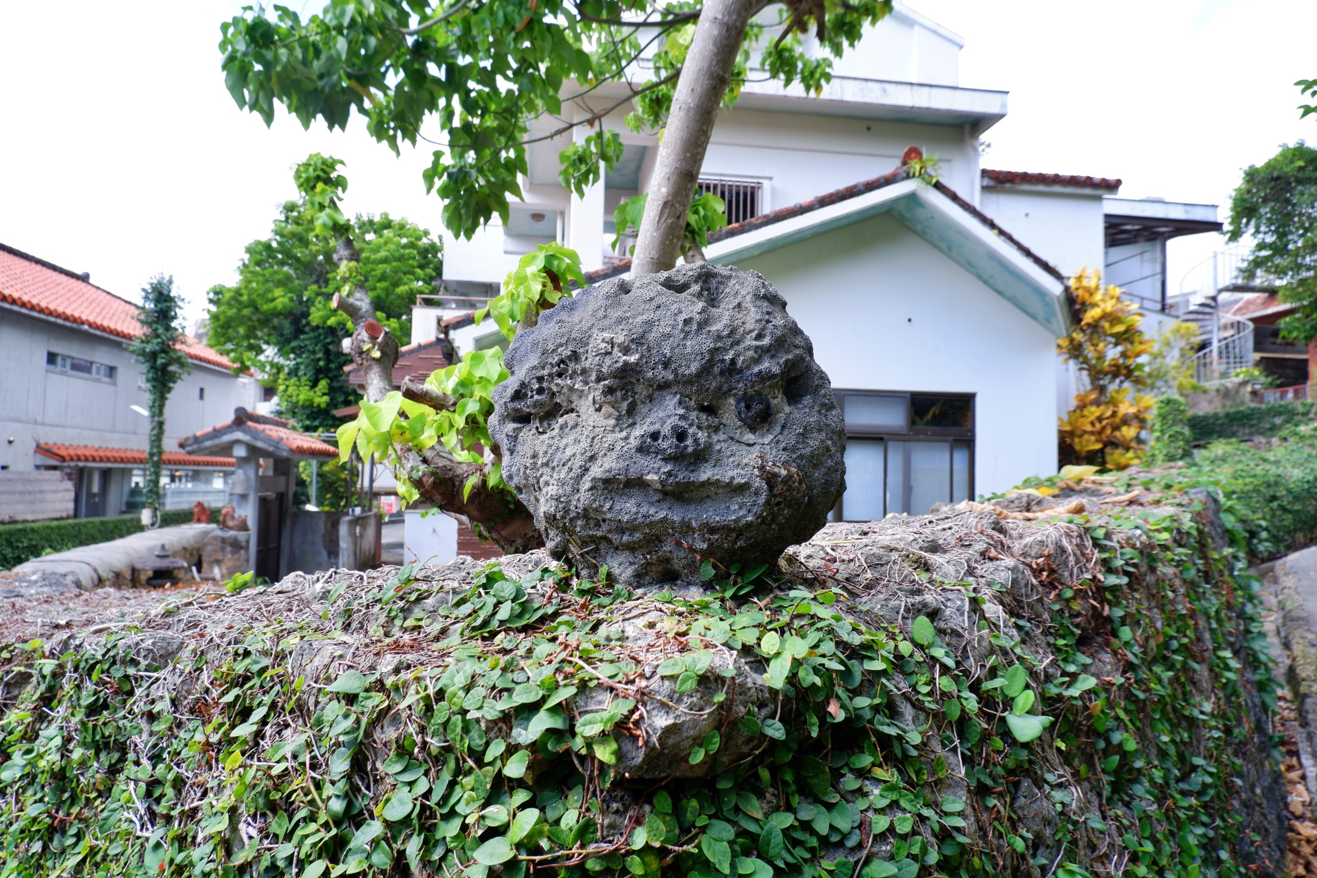 那覇やちむん通りの石垣に置かれた顔型の琉球石灰岩オブジェ
